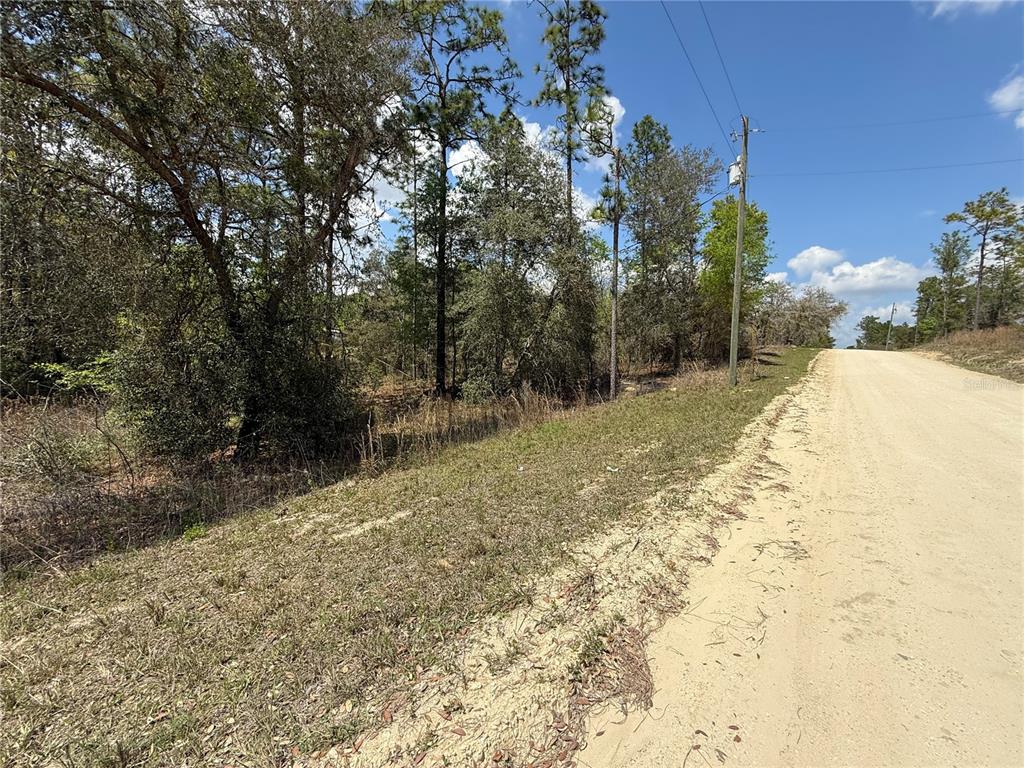 A dirt road runs alongside a wooded lot under a clear blue sky — TBD SE 150TH AVENUE, MORRISTON, FL