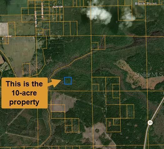 An aerial map shows a highlighted 10-acre property outlined in blue within a wooded area — E COUNTY ROAD 90, BUNNELL, FL