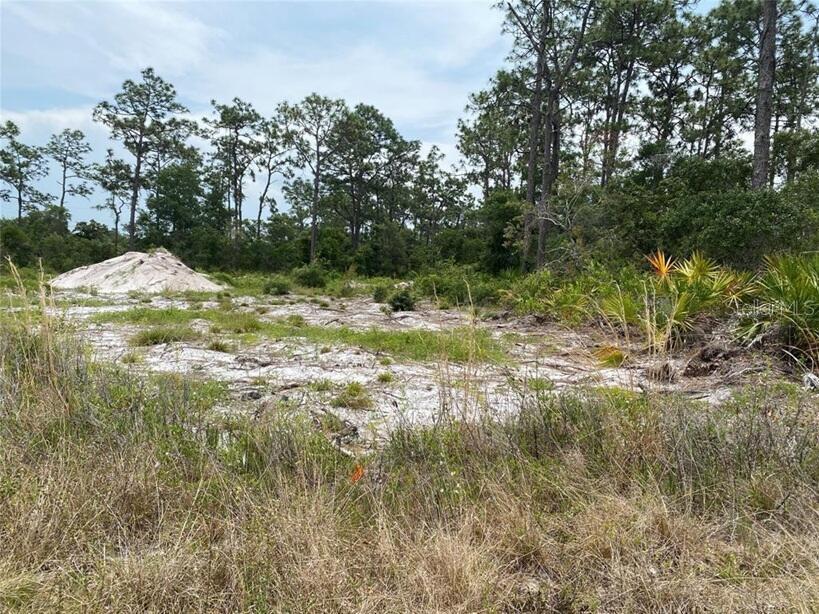 A vacant, sandy lot features scattered vegetation and a large pile of dirt — 6591 DELAND AVENUE, INDIAN LAKE ESTATES, FL