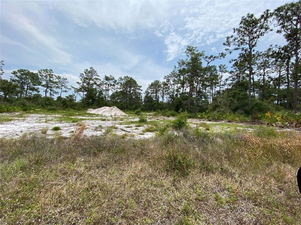 A vacant, sandy lot with sparse vegetation and a line of trees in the background — 6591 DELAND AVENUE, INDIAN LAKE ESTATES, FL
