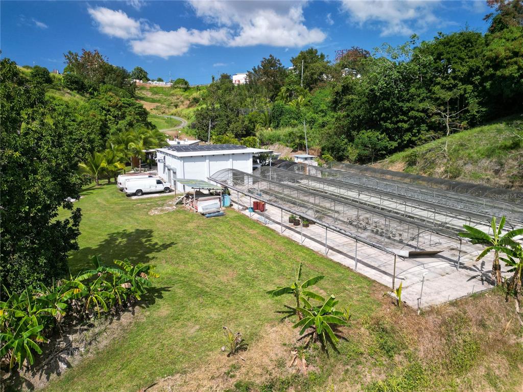 An aerial view shows a white building with solar panels next to a long greenhouse — 348 CAMINO JUAN LEBRON, MAYAGUEZ, PR