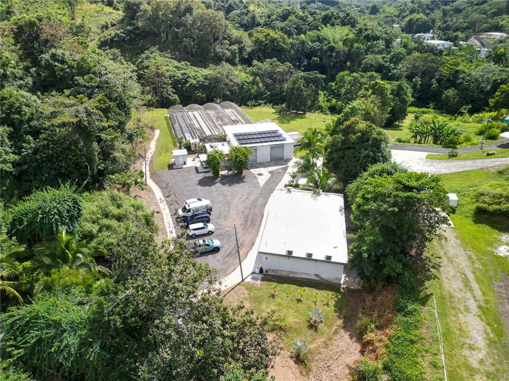 An aerial view shows a property with two buildings, greenhouses, and a parking area — 348 CAMINO JUAN LEBRON, MAYAGUEZ, PR