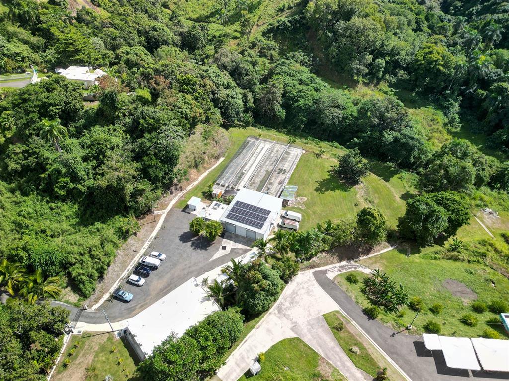 An aerial view shows a commercial building with solar panels, greenhouses, and a parking lot — 348 CAMINO JUAN LEBRON, MAYAGUEZ, PR
