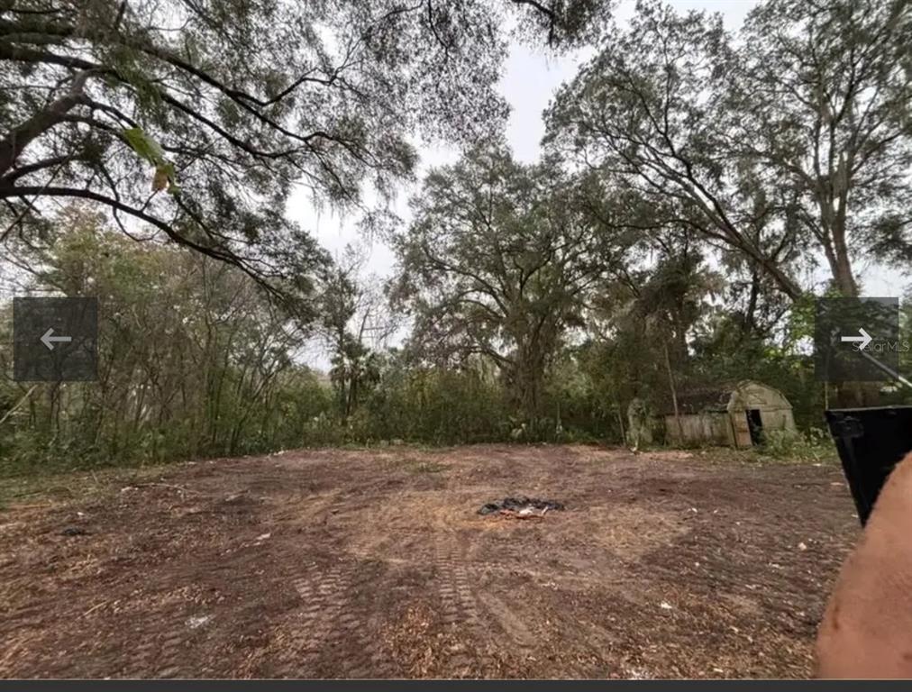 A cleared, dirt-covered lot is surrounded by mature trees with a small shed visible — 8549 S MAGNOLIA AVENUE, OCALA, FL