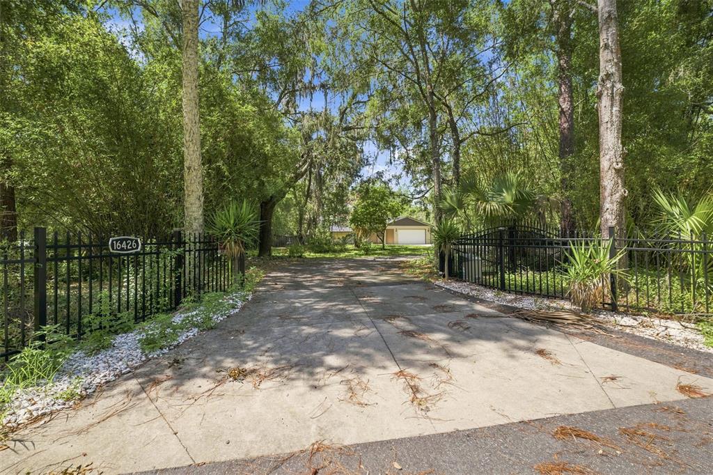 A concrete driveway leads through a black metal gate toward a house nestled among trees — 16426 FORZANDO AVENUE, BROOKSVILLE, FL