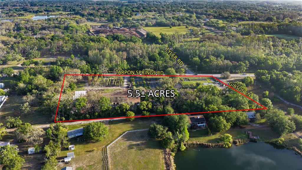 This aerial view shows a 5.5-acre plot of land outlined in red near road intersections — 12980 TARPON SPRINGS ROAD, ODESSA, FL