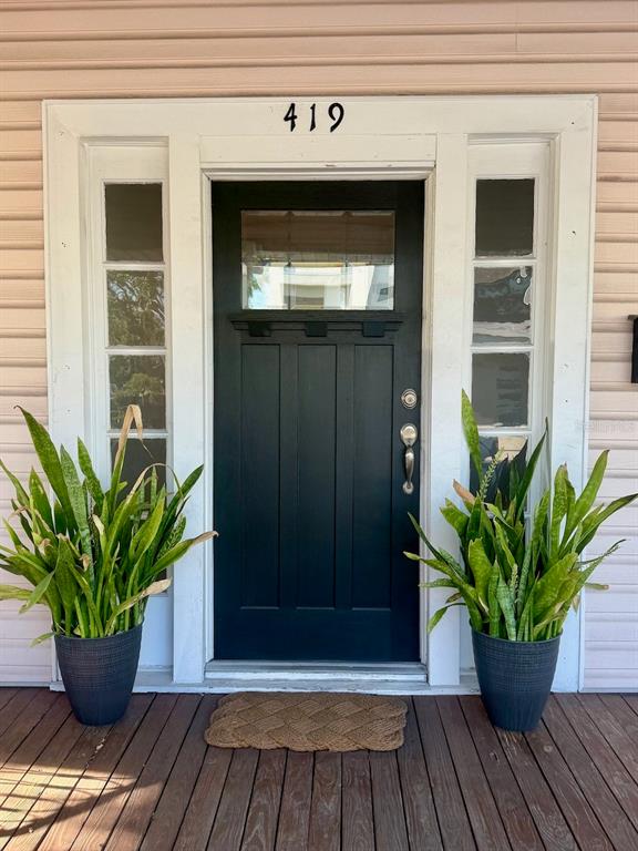 A dark front door with side windows and two potted snake plants on a porch — 419 W PARK AVENUE, TAMPA, FL