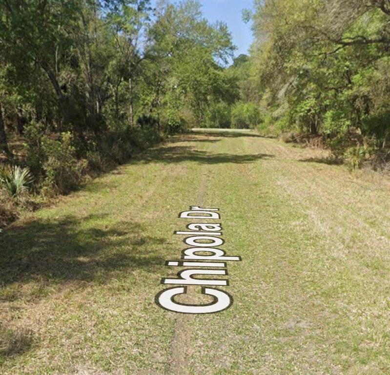 A grassy, unpaved road leads through a wooded area with trees on both sides — 106 CHIPOLA DRIVE, GEORGETOWN, FL