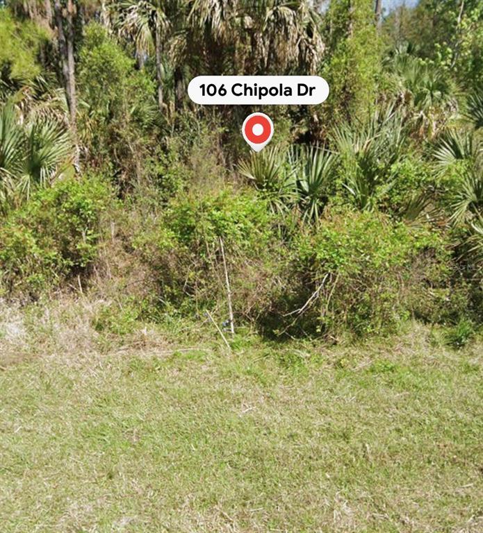 A view of a densely wooded, undeveloped residential lot covered in grass and palm trees — 106 CHIPOLA DRIVE, GEORGETOWN, FL
