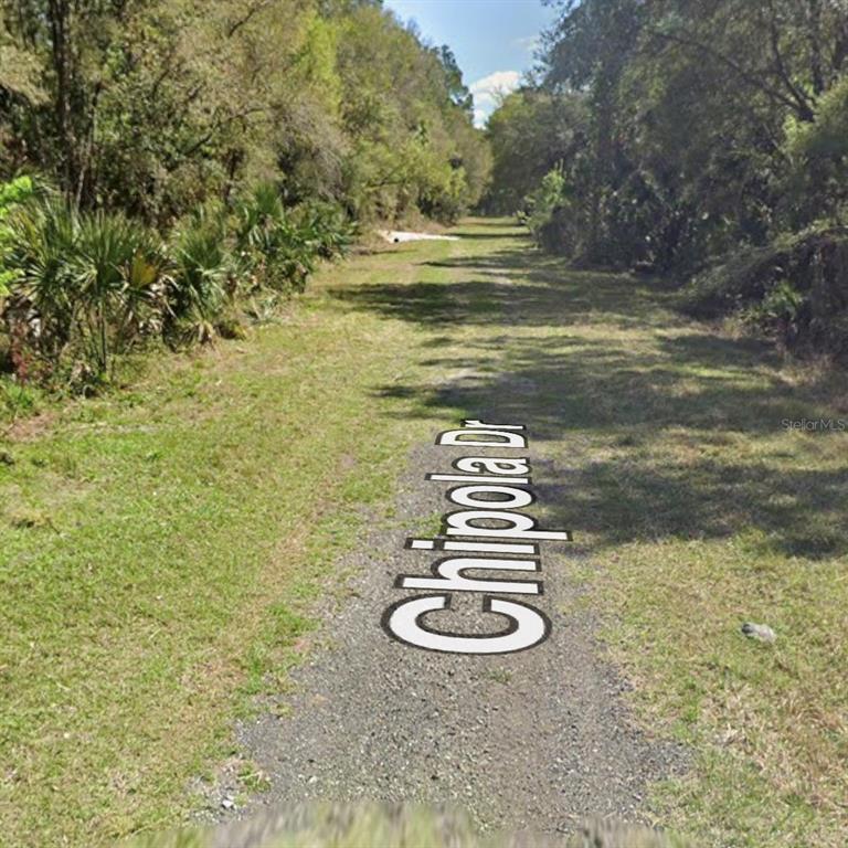 A gravel path leads through a wooded area labeled as Chipola Dr — 106 CHIPOLA DRIVE, GEORGETOWN, FL