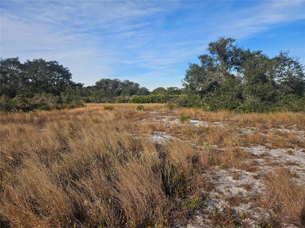 A grassy, sandy field is surrounded by trees under a blue sky — 625 S REED ROAD, AVON PARK, FL