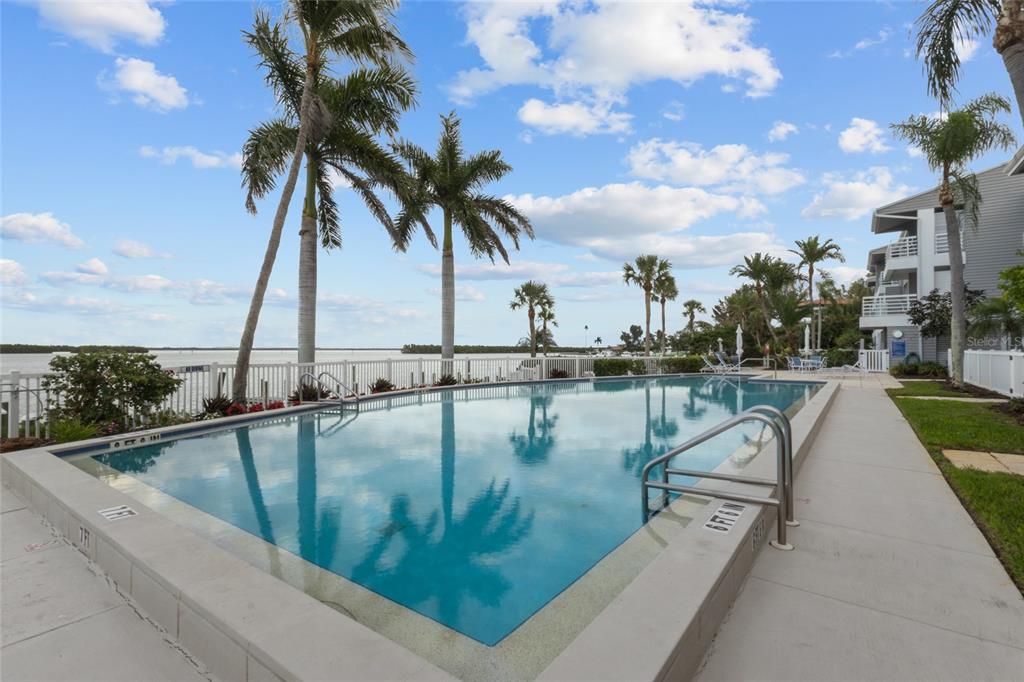 A rectangular swimming pool sits on a patio overlooking a bay with palm trees nearby — 615 DREAM ISLAND PLACE UNIT 105, LONGBOAT KEY, FL