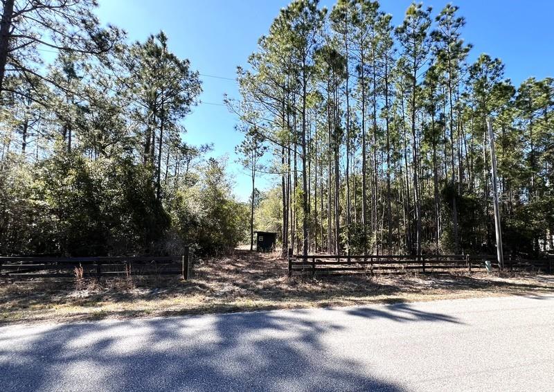 181 LAKEWAY DRIVE, GEORGETOWN, FL — photo 2 of 27