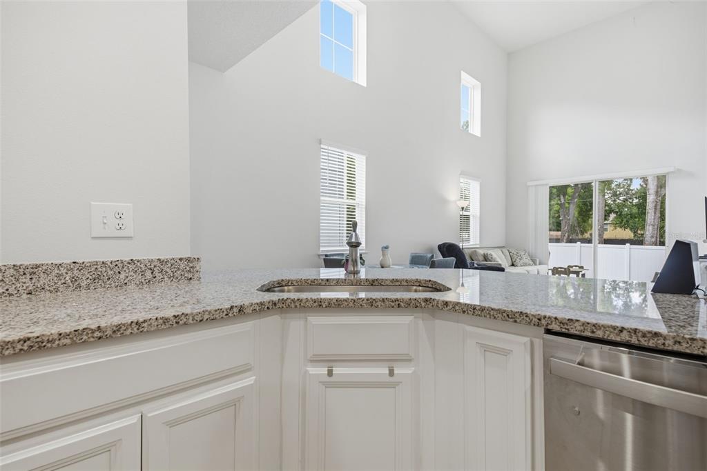A kitchen view features granite countertops, white cabinets, and a tall ceiling with multiple windows — 2130 LACEFLOWER DRIVE, BRANDON, FL