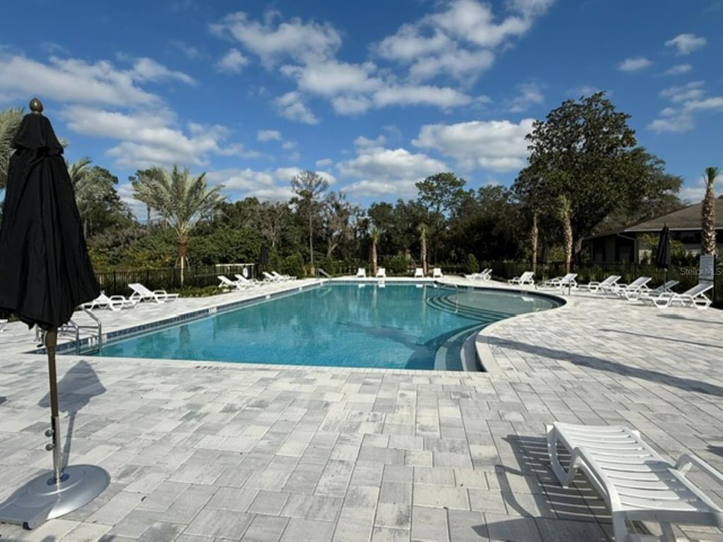 A rectangular swimming pool with a paved deck and lounge chairs under a blue sky — 2230 NW 23RD LOOP, OCALA, FL