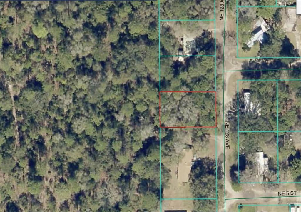 This aerial map shows a rectangular vacant lot outlined in red along a wooded road — Lot 8 NE 128TH AVENUE, SILVER SPRINGS, FL