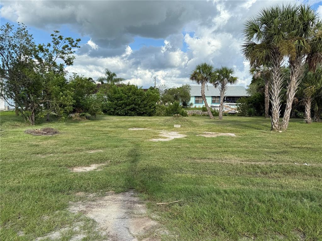 A grassy, vacant residential lot features scattered palm trees and a distant house under clouds — 3800 BAYNARD DRIVE, PUNTA GORDA, FL