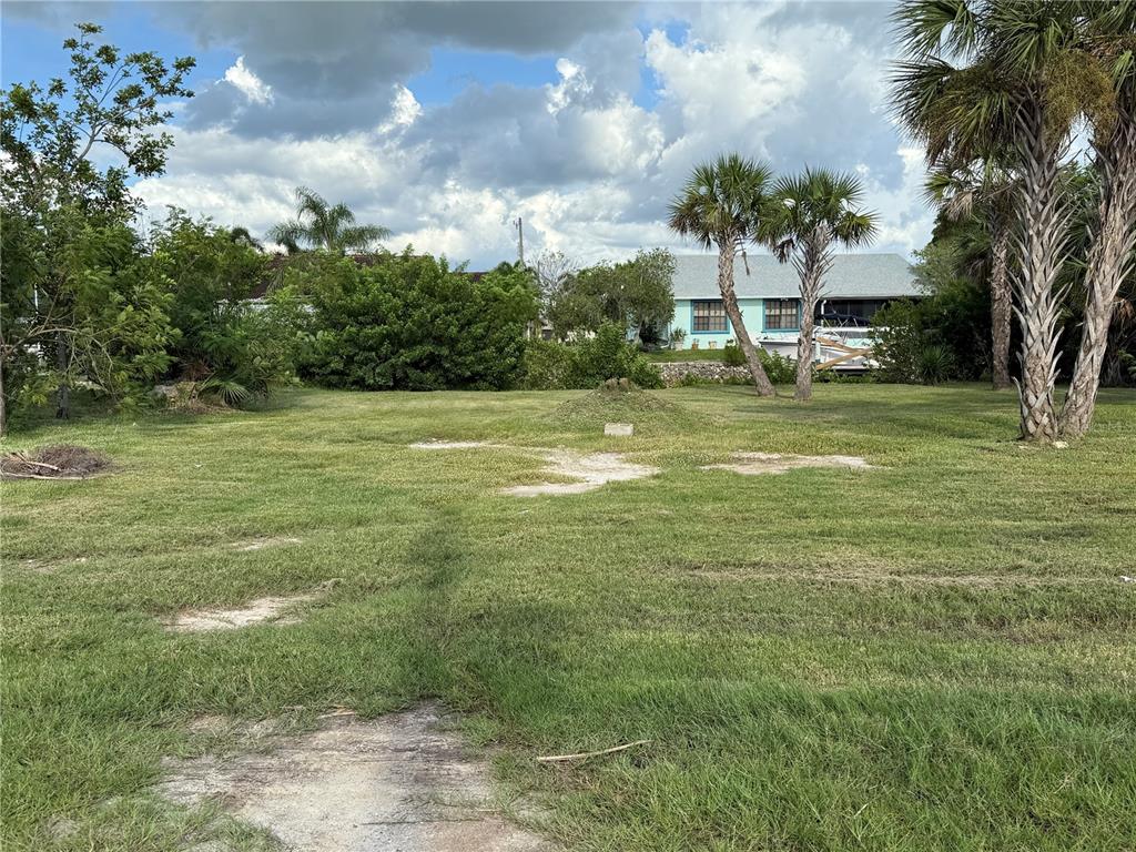 A grassy, vacant residential lot features scattered palm trees and dense foliage under a cloudy sky — 3800 BAYNARD DRIVE, PUNTA GORDA, FL