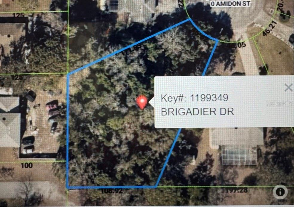 This is a satellite map view showing the property boundaries of a wooded residential lot — 1453 BRIGADIER DRIVE, SPRING HILL, FL