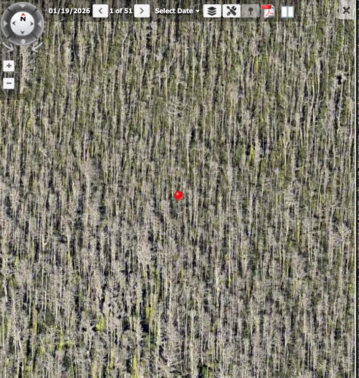 This aerial map view shows a dense, wooded forest area marked by a red pin — HOLOPAW GROVES ROAD Lot 125 & 126, ST CLOUD, FL