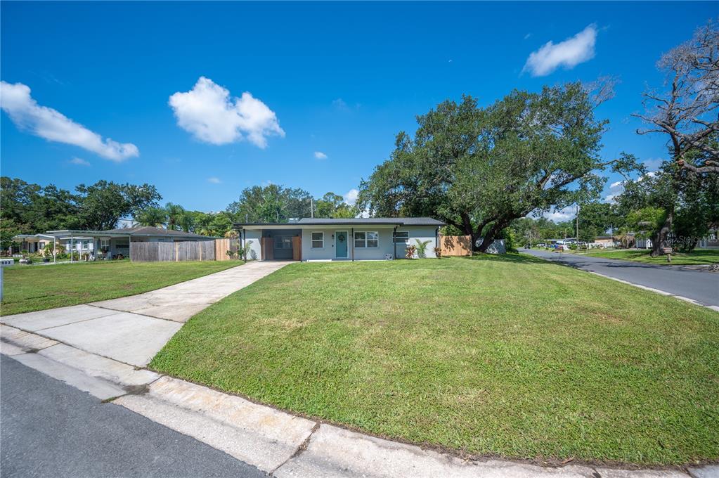 A single-story house with a concrete driveway and a large tree in the front yard — 2903 STANHOPE AVENUE, LAKELAND, FL
