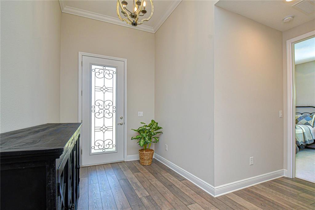An entryway features a white front door with decorative glass, wood flooring, and a chandelier — 6005 SPARROWHEAD WAY, LITHIA, FL