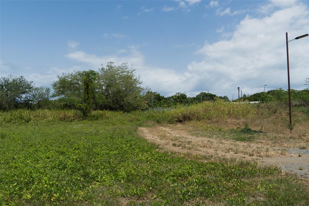 A vacant, grassy lot with a dirt path and a single light pole — 971 CAMINO EL DUQUE, NAGUABO, PR