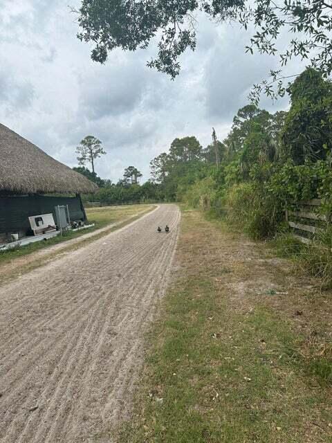 A dirt path runs alongside a thatched-roof structure and dense trees under a cloudy sky — 3525 D Rd Road, FL 33470, FL
