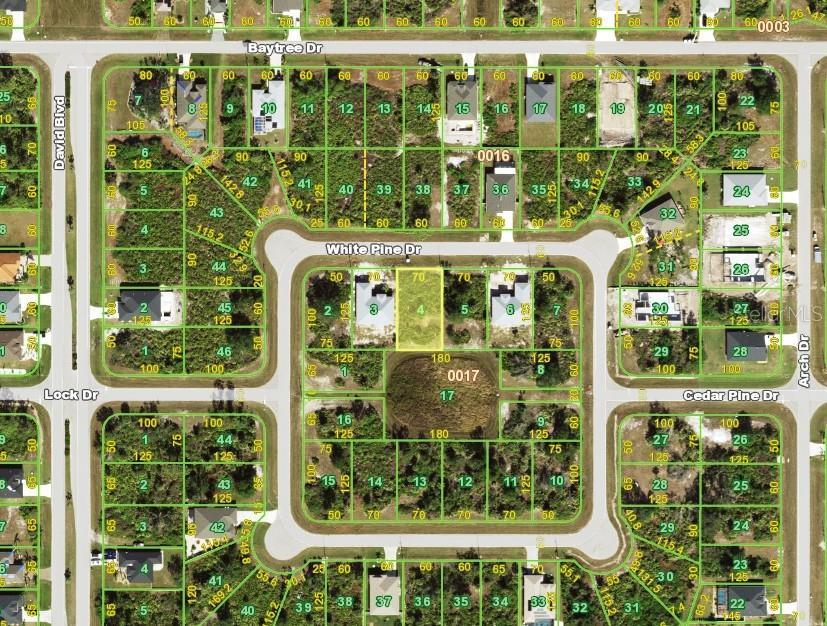 This is a plat map showing residential lots and street layouts in a neighborhood — 115 WHITE PINE DRIVE, ROTONDA WEST, FL
