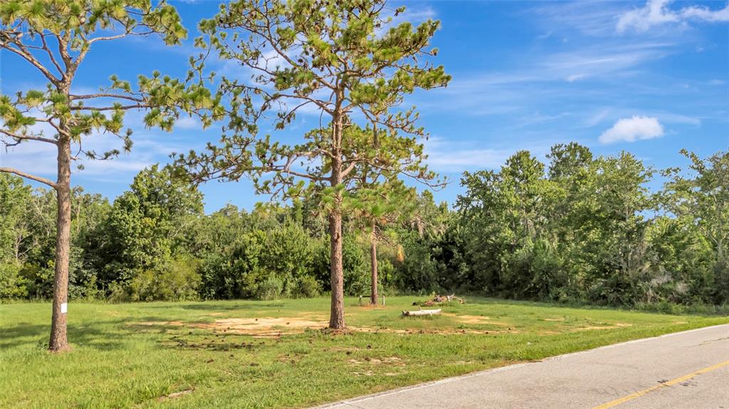 A grassy, partially wooded vacant lot sits next to an asphalt road under a blue sky — 4541 COUNTY ROAD 561, CLERMONT, FL