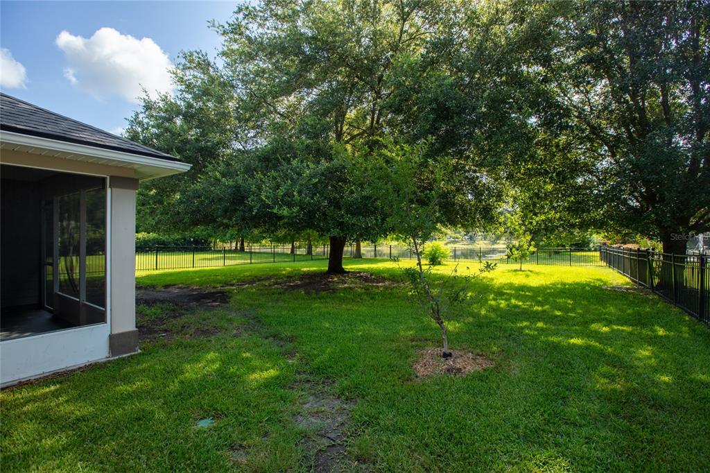 A grassy backyard features a large tree, a small sapling, and a black metal fence — 8123 NW 51ST DRIVE, GAINESVILLE, FL
