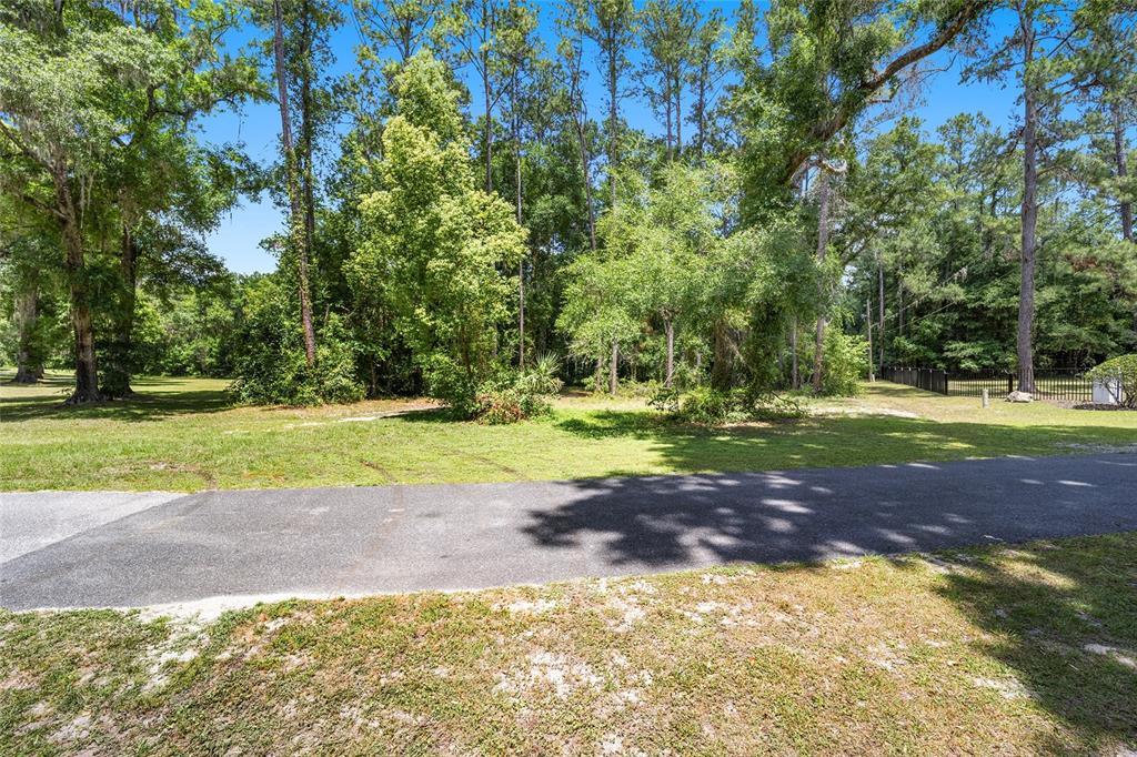 A paved driveway leads to a grassy lot surrounded by mature trees and dense vegetation — 4850 SE 11TH AVENUE, OCALA, FL