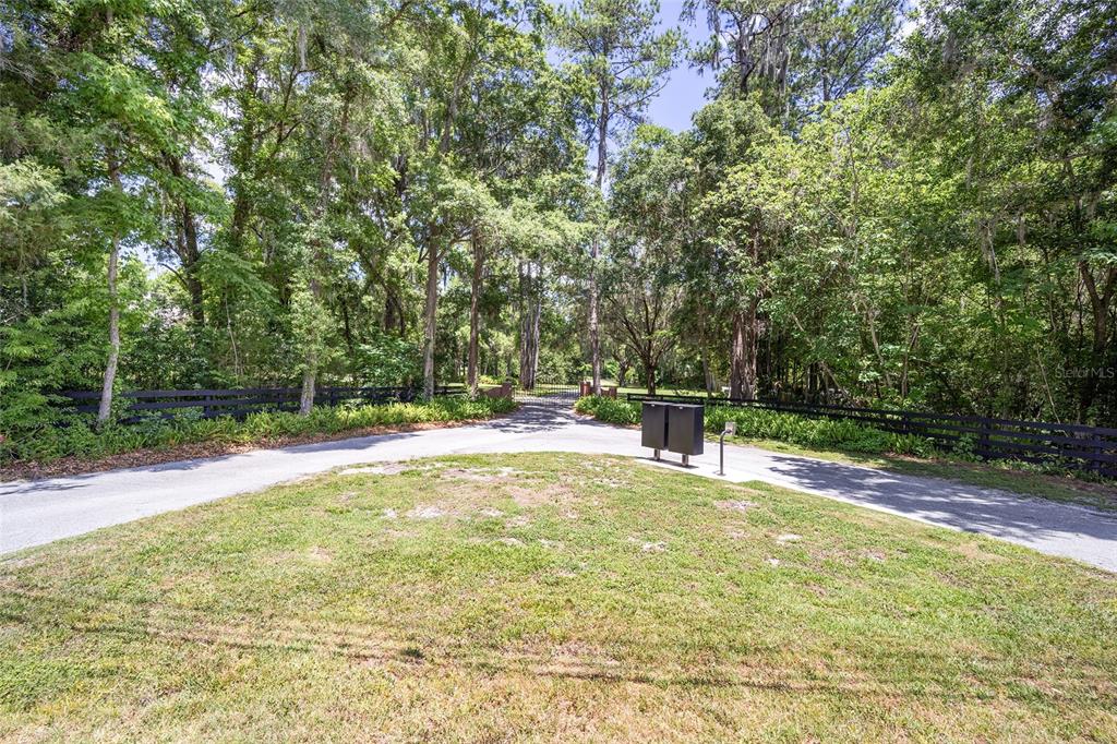 A paved driveway leads to a gated entrance surrounded by dense trees and a black fence — 4850 SE 11TH AVENUE, OCALA, FL