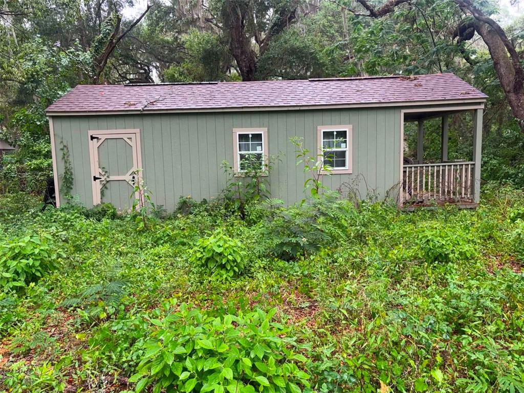 A green shed with a porch, two windows, and a door sits in overgrown vegetation — 6360 SE 145TH PLACE, SUMMERFIELD, FL
