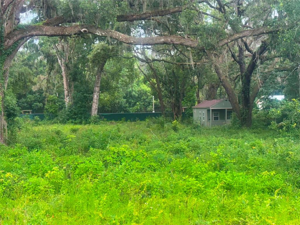 A small shed sits in a grassy, overgrown lot shaded by large, moss-covered oak trees — 6360 SE 145TH PLACE, SUMMERFIELD, FL