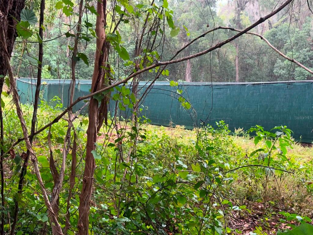 A green privacy fence stands in a wooded area with dense vegetation and trees — 6360 SE 145TH PLACE, SUMMERFIELD, FL
