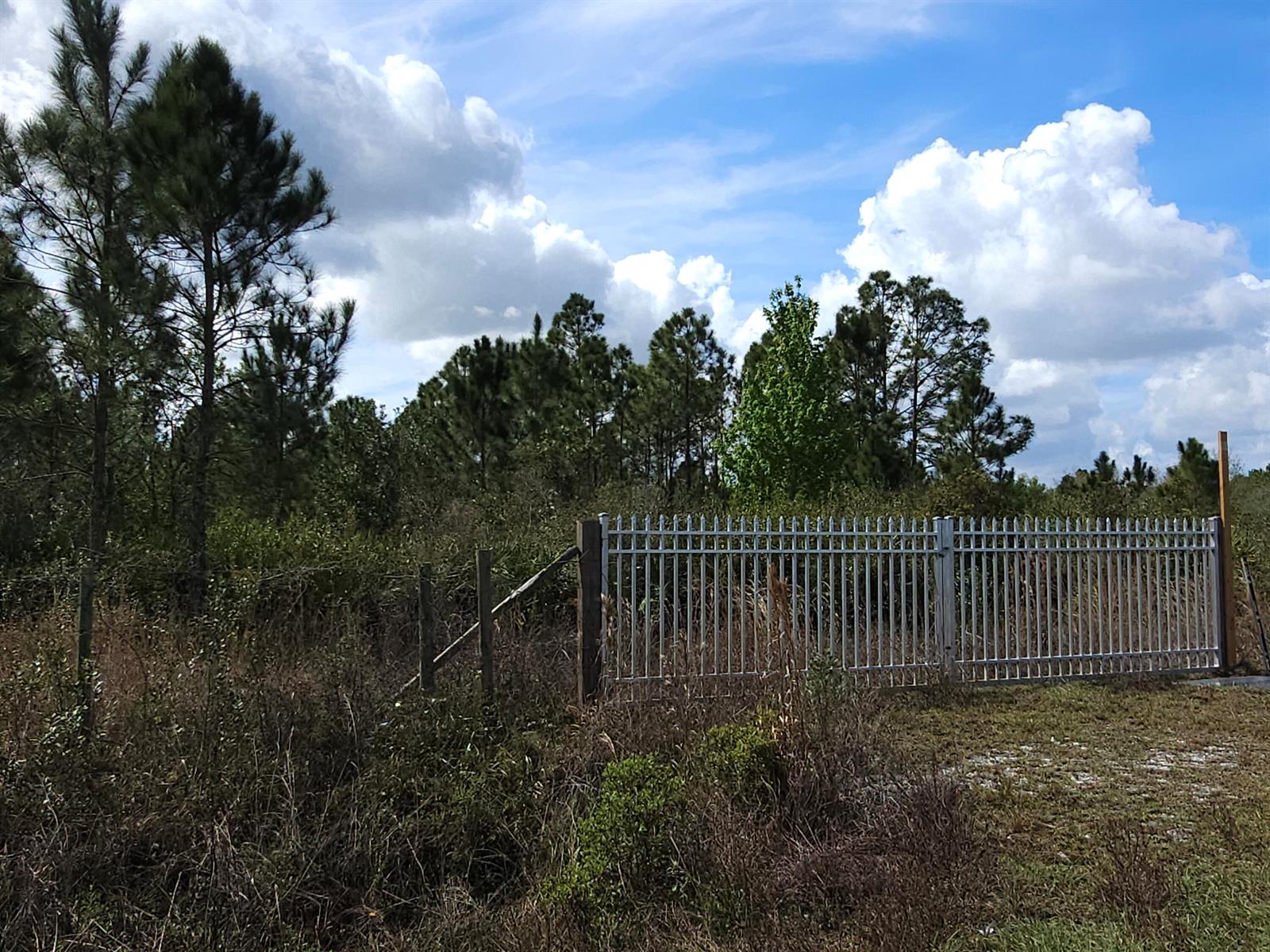 A metal gate stands in front of a wooded area under a blue sky — 17720 NW 268th Street, Okeechobee FL 34972, OKEECHOBEE, FL