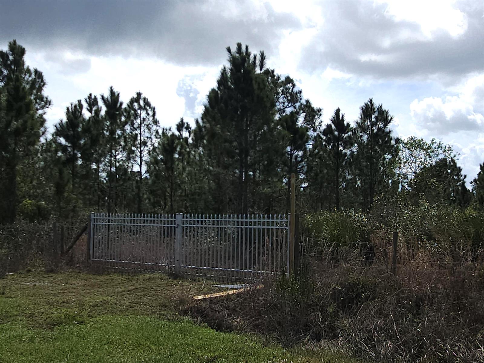 A metal fence stands in front of a wooded area under a cloudy sky — 17720 NW 268th Street, Okeechobee FL 34972, OKEECHOBEE, FL
