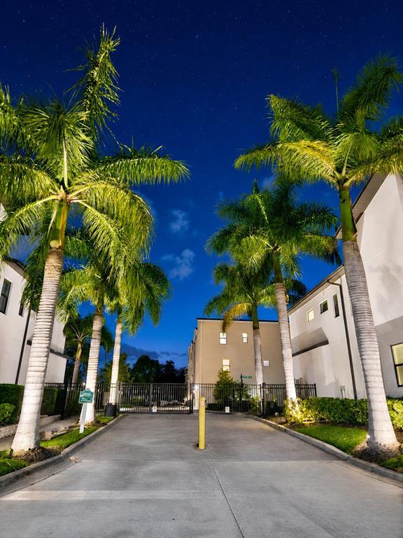 A paved driveway leads through a gated entrance flanked by tall palm trees at night — 2521 11TH PLACE N, ST PETERSBURG, FL