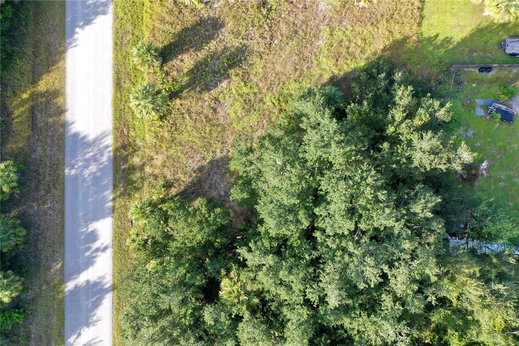 An aerial view shows a paved road bordering a grassy lot with large trees — 454 LEONA STREET, PORT CHARLOTTE, FL