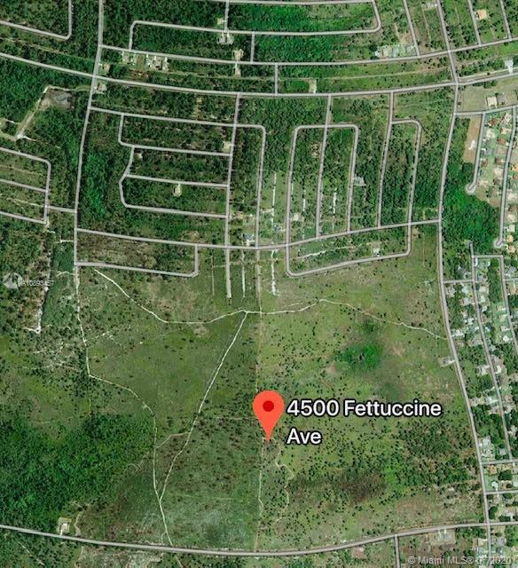 This is an aerial map view showing a plot of land with surrounding residential streets — 4500 FETTUCCINE AVE, Sebring FL 33872, SEBRING, FL