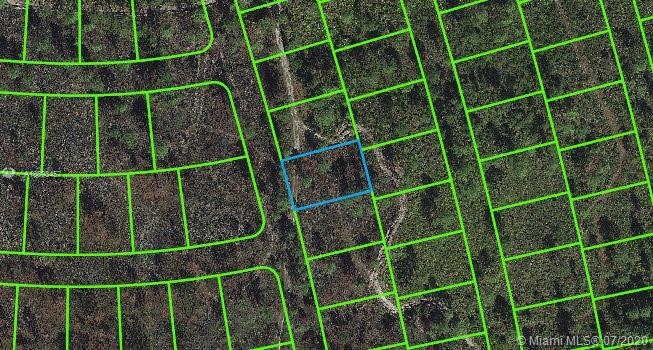 This is an aerial map view of a rectangular plot of land outlined in blue — 4500 FETTUCCINE AVE, Sebring FL 33872, SEBRING, FL