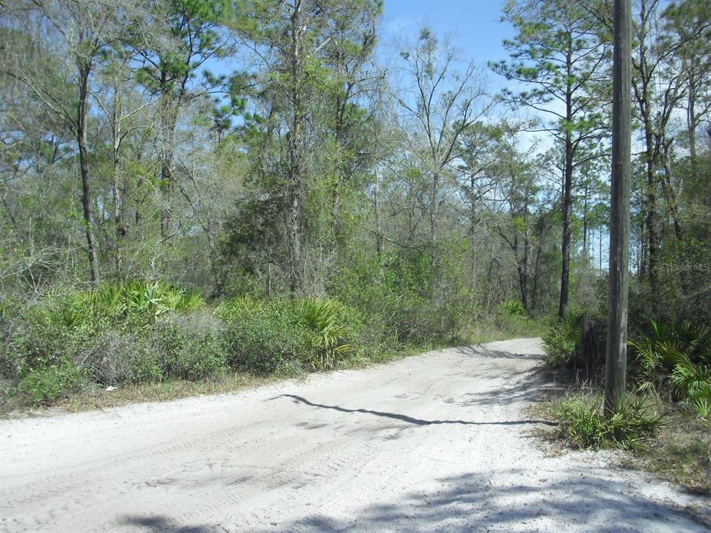 Tract 418 SW 158TH LANE