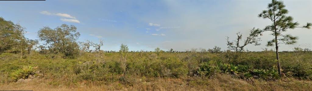 A wide, sunny view of a flat, undeveloped lot covered in scrub brush and trees — PALM BEACH DRIVE, INDIAN LAKE ESTATES, FL