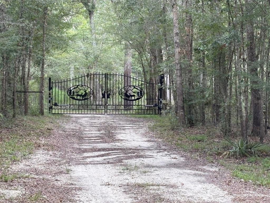 A black metal gate with deer silhouettes stands at the entrance of a wooded driveway — 1551 NE 930TH STREET, OLD TOWN, FL
