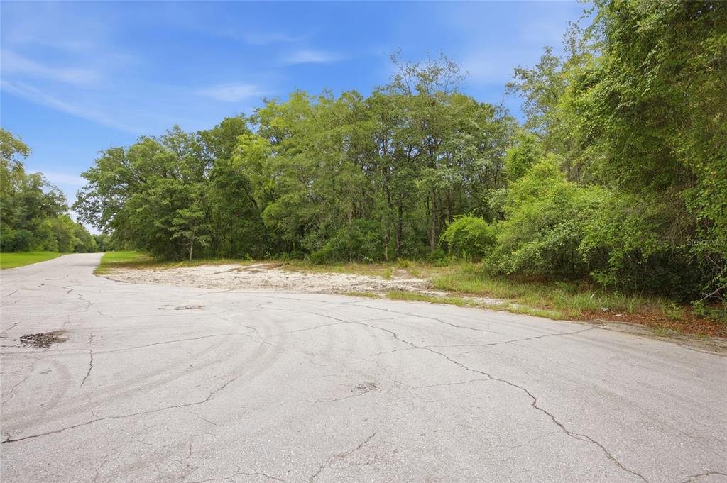 A paved road leads to a vacant, wooded lot with a sandy clearing — 000 SW 172ND LOOP, OCALA, FL
