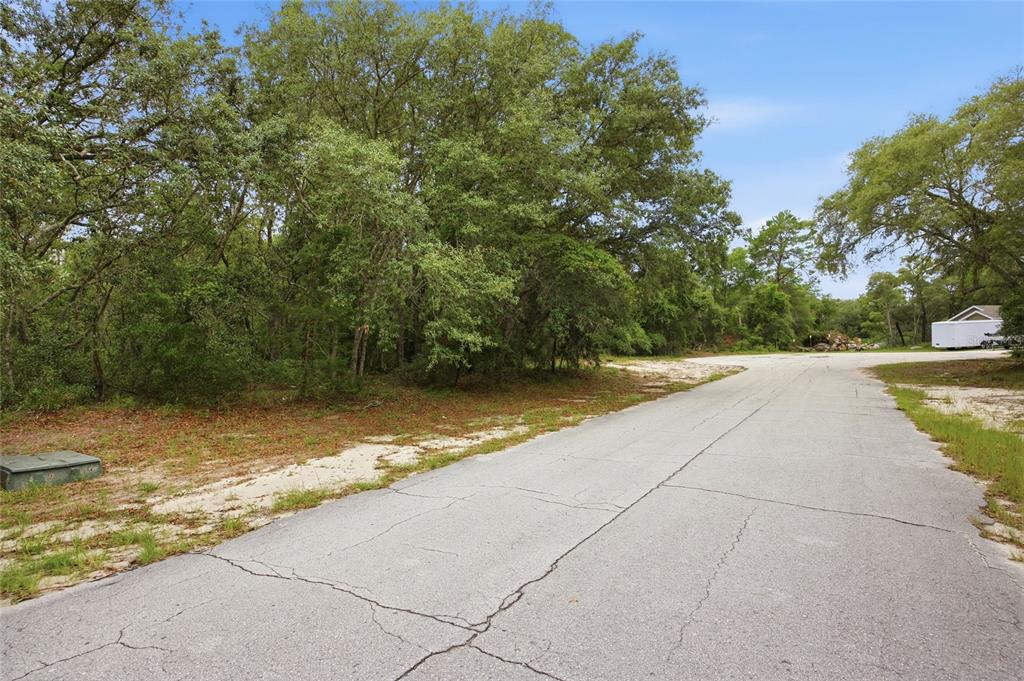 A paved road curves past a wooded lot with a small utility box in the foreground — 000 SW 172ND LOOP, OCALA, FL