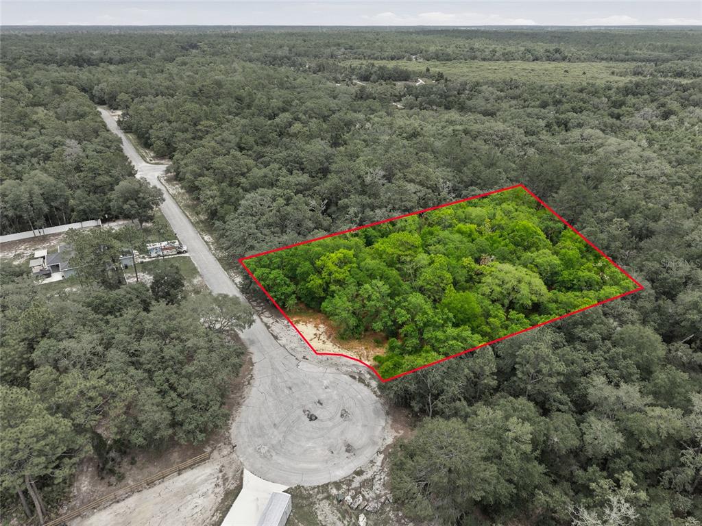 An aerial view shows a wooded, rectangular plot of land outlined in red near a cul-de-sac — 000 SW 172ND LOOP, OCALA, FL