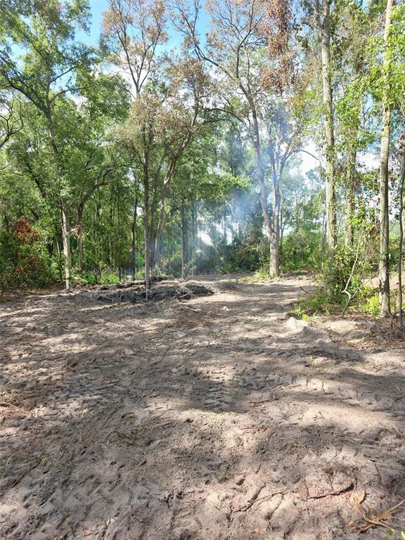 A cleared dirt lot with tire tracks leads into a wooded area with visible smoke — Lot 111 NW 70TH AVENUE, TRENTON, FL