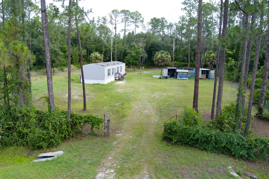 A mobile home sits on a large, grassy lot surrounded by tall pine trees — 5074 BUTTERNUT AVENUE, BUNNELL, FL
